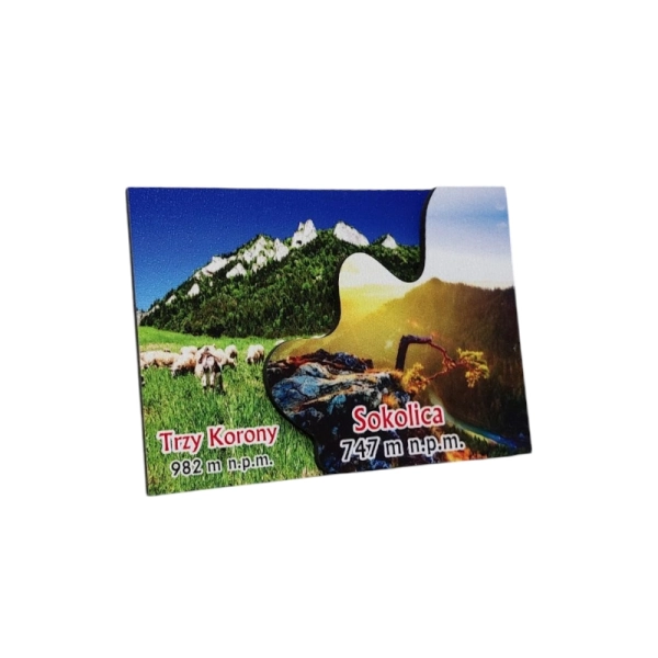 Drewniany magnes 2D N2